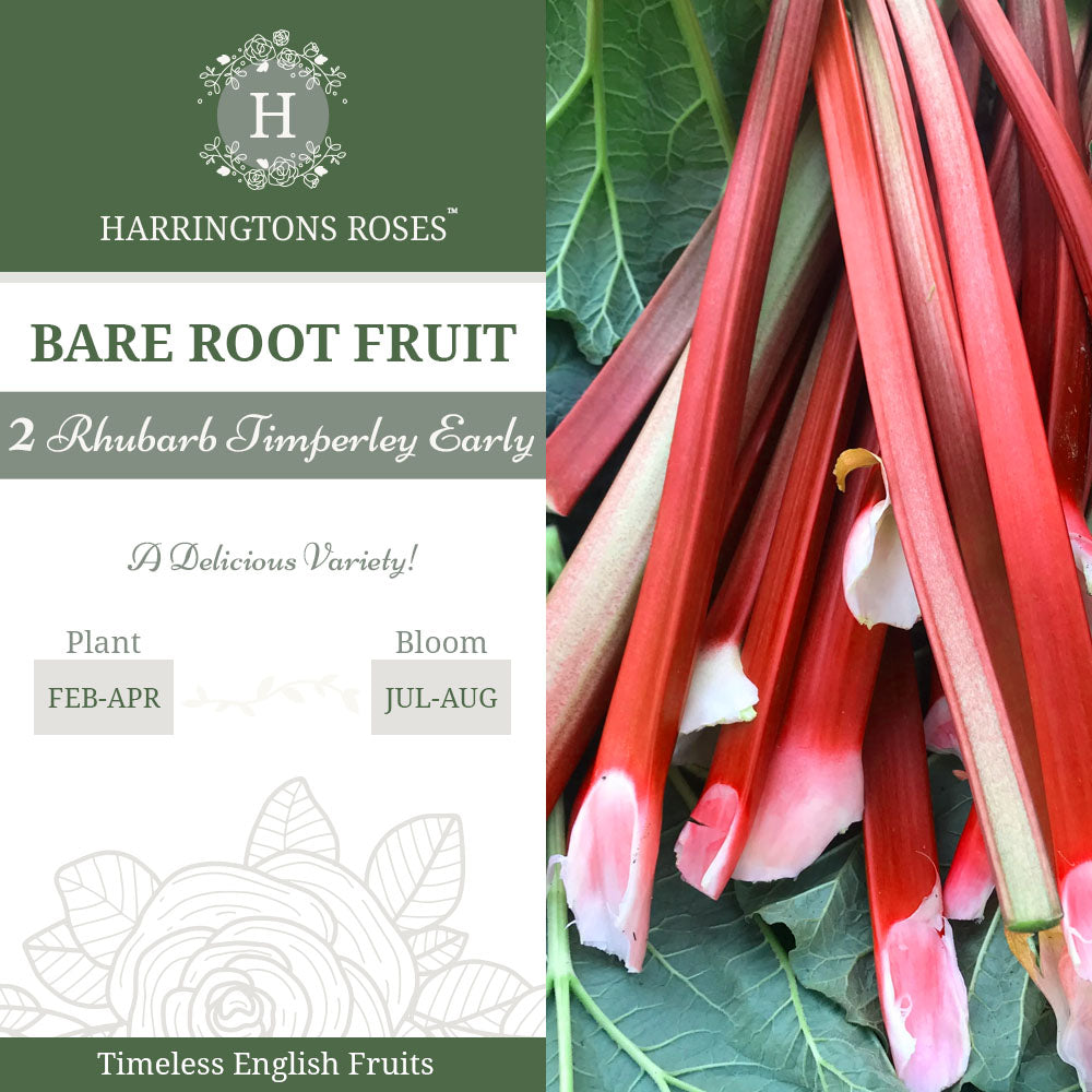 Rhubarb Timperley Early