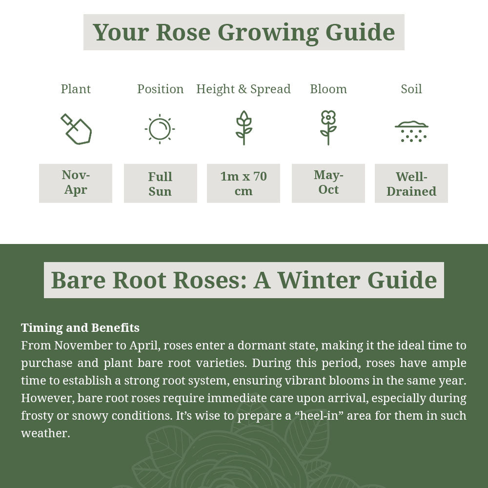 Twice in a Blue Moon