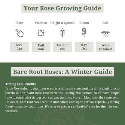 Twice in a Blue Moon